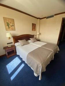 Foto dalla galleria di Hotel Villa De Almazan ad Almazán Altre 46 foto