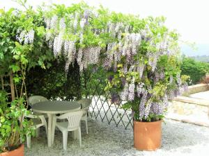 a wisteria hanging over a table and chairs in a garden at Mezzomonte View in Impruneta