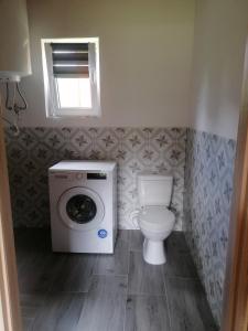 a bathroom with a washing machine and a toilet at Lisi Zakątek in Czarna