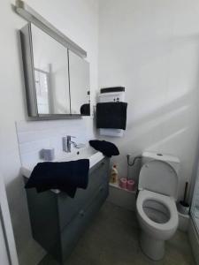 a bathroom with a toilet and a sink and a mirror at Appartement vue mer in Calais