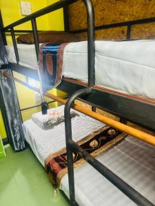 Двухъярусная кровать или двухъярусные кровати в номере Chiangmai Panda Hostel(2)