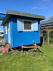 a blue tiny house sitting on top of a yard at Pieterwagen in Sleen