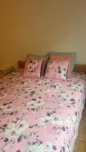 ルツェルンにある01 quarto de casal Os demais cômodos da casa serão de uso compartilhadoのピンクのシーツと枕が備わるピンクのベッド