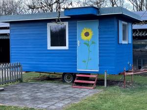 una casita azul con un girasol pintado en la puerta en Pieterwagen, en Sleen