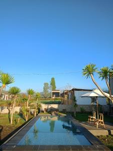 einen Pool in einem Garten mit Palmen in der Unterkunft Batur Homestay and Lodge in Bangli