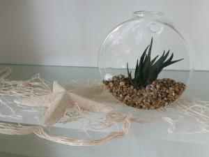 a glass bowl with a plant and a starfish at Haus Panorama - Kleines Sternchen in Grömitz