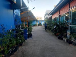 uma pessoa a andar por um corredor com vasos de plantas em Nopphadon Hotel em Lat Krabang