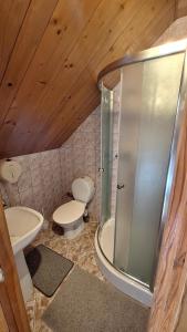a bathroom with a shower and a toilet and a sink at O.W. MEGA nad jeziorem in Żywiec