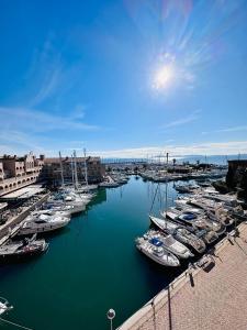 Un gruppo di barche ormeggiate in un porto. di Séjour au port a Hyères