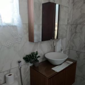 a bathroom with a sink and a mirror and a plant at Casa no centro de Saquarema in Saquarema