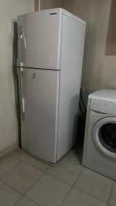 提比里斯的住宿－Lia，厨房配有白色冰箱和洗衣机