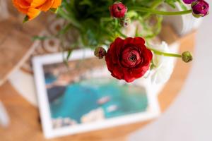 a vase filled with flowers on a table with a picture at Anemosyrma in Agia Irini Milos