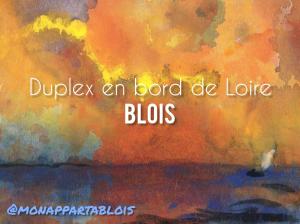 Fotografie z fotogalerie ubytování Duplex 60 m2 bord de Loire v destinaci Blois