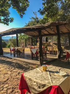 a table and chairs and a pavilion with tables and chairs at Agriturismo Il Muto di Gallura in Aggius