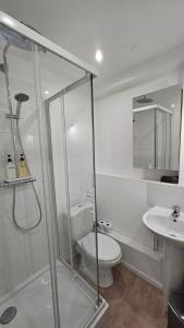 La salle de bains est pourvue d'une douche, de toilettes et d'un lavabo. dans l'établissement PROCHE CONGRES PLAGES CLIM, à Cannes