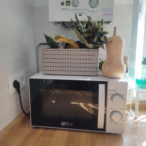 サロブレーニャにあるAcogedora Casa Familiar con Patioの2つの鍋と鉢植えが置かれた電子レンジ +32枚の写真