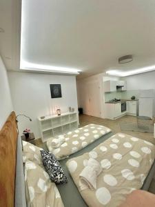 ein Wohnzimmer mit 2 Betten und einem Sofa in der Unterkunft AR Living Vienna Klosterneuburger Studios in Wien