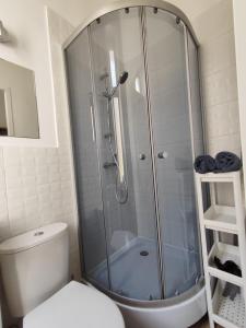a bathroom with a shower with a toilet and a sink at Little room 7 - pokój z prywatną łazienką i aneksem in Szczecin +3 photos