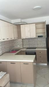 Kuchyň nebo kuchyňský kout v ubytování Arber Apartments 2 I Hasi