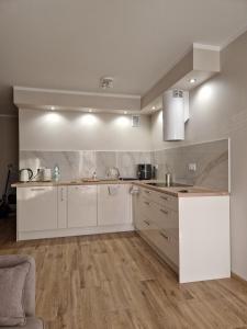 Køkken eller tekøkken på Baśniowy apartament + 5 billeder