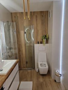 a bathroom with a toilet and a shower at Baśniowy apartament in Sztutowo