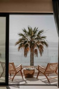 a room with two chairs and a palm tree through a window at Ostrako Beachside Suites in Agia Anna Naxos