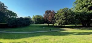 a person standing in a park with a horse in a field at Segrate San Felice in Segrate