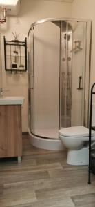 a bathroom with a shower and a toilet and a sink at Old Town Studio in Kaunas in Kaunas
