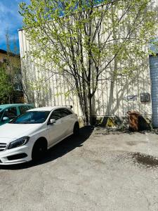 un coche blanco aparcado en un estacionamiento junto a un árbol en IBAY en Metzingen