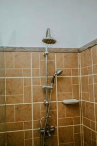 a shower with a shower head in a bathroom at Two Bedroom House With free WiFi in Masaki in Dar es Salaam