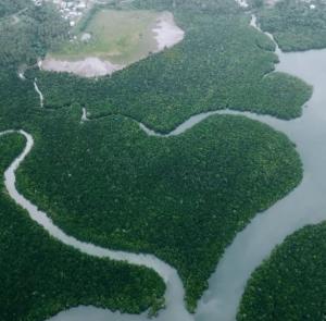 eine Luftansicht auf den Amazonas und die Wälder in der Unterkunft Camping Rein apwisindo desa sarawet in Likupang