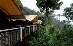 a group of buildings in a forest with trees at Bestinn Leisure Chalona Munnar in Munnar