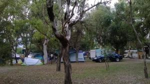 een groep tenten en een auto geparkeerd in een park bij Camping Ulisse Calabria in Lamezia Terme