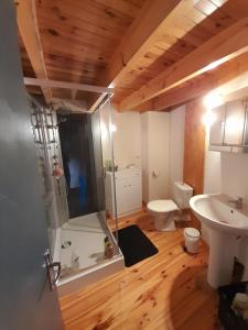 ein Badezimmer mit Dusche, Waschbecken und Toilette in der Unterkunft Maison familiale à 10 minutes de Llivia in Angoustrine