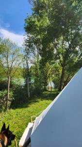 Příroda nedaleko luxury tent