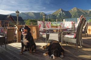 two dogs sitting on a deck with a table and chairs at Wellness Penzion Strachan in Ždiar +136 photos