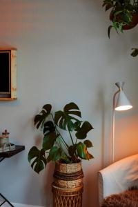 a potted plant in a room next to a lamp at Valleviken Hotell in Valleviken