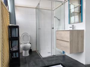 バルセロナにあるペンション カサ デ バルサのバスルーム(トイレ、ガラス張りのシャワー付)
