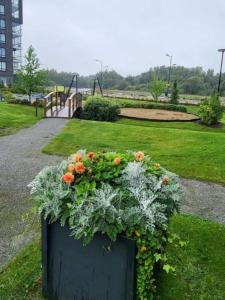 a planter filled with flowers in a park at Makasiiniranta in Pori