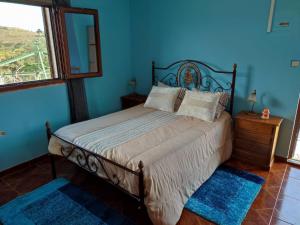 um quarto com uma cama com paredes azuis e uma janela em Vivenda Casa da Fraga em Alijó