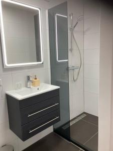 a bathroom with a sink and a shower with a mirror at Duinstrand Burgh-Haamstede in Burgh Haamstede