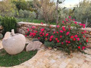 Zahrada ubytování Stone house Goranova kuća