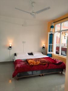 un dormitorio con una cama con un gato sobre ella en Be Happy HomeStay, en McLeod Ganj