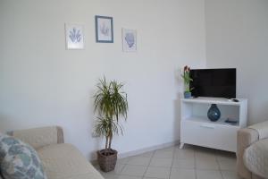 salon z 2 kanapami i telewizorem w obiekcie Casa delle Conchiglie w Puli