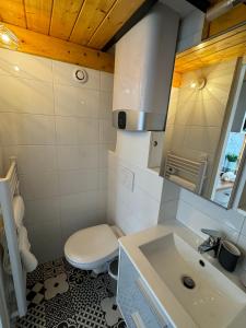ein Bad mit einem WC und einem Waschbecken in der Unterkunft Studio hypercentre Tassin La Demi Lune in Tassin-la-Demi-Lune