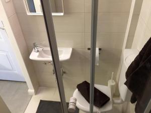 Kúpeľňa v ubytovaní Elisabeth Bridge Apartmans
