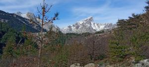 a snow covered mountain in the middle of a forest at NIOLU in Albertacce