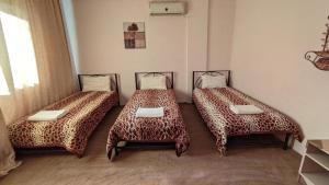 three beds in a room with cheetah sheets at Rocky Mountain Hotel in Wadi Musa