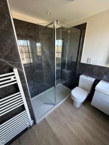 a bathroom with a toilet and a glass shower at Grindal - Executive Apartment Hotel in St Bees