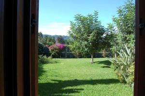 a window view of a yard with a tree at Apartment mit Terrasse - b57363 in Acireale
